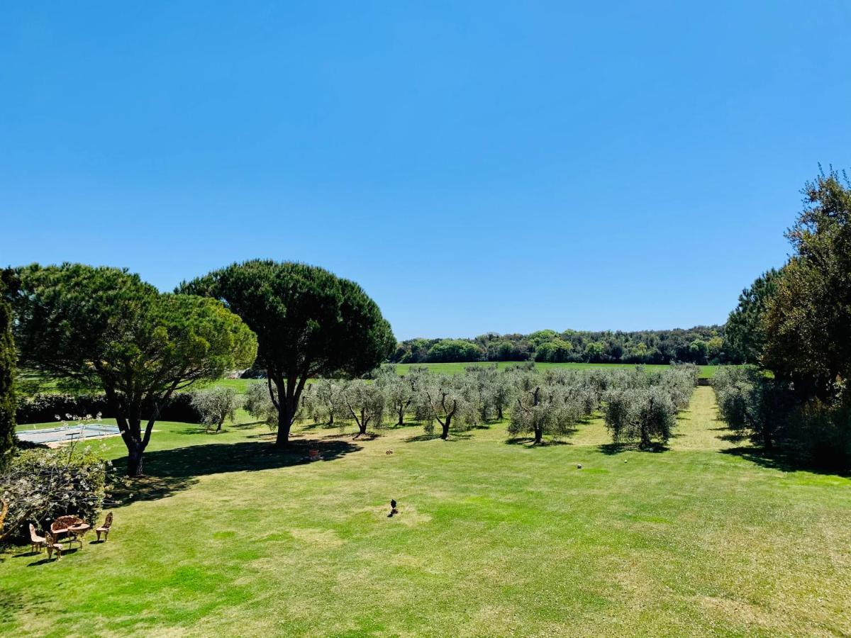 Ansedónia B&B Valle D'Oro المظهر الخارجي الصورة