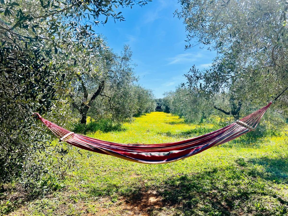 Ansedónia B&B Valle D'Oro المظهر الخارجي الصورة