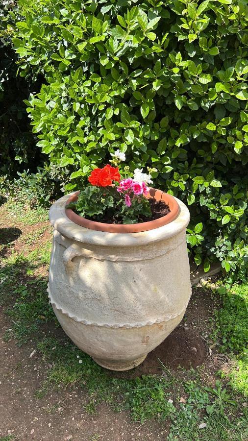 Ansedónia B&B Valle D'Oro المظهر الخارجي الصورة